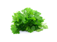 Prezzemolo comune <i>(Petroselinum hortensis)</i>