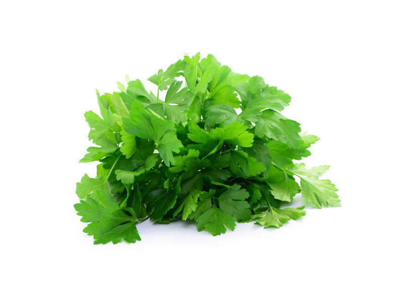Prezzemolo comune <i>(Petroselinum hortensis)</i>