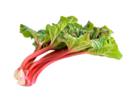 Rabarbaro rosso <i>(Rheum palmatum)</i>