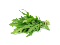 Rucola selvatica <i>(Diplotaxis tenuifolia)</i>