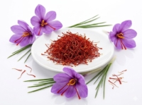 Zafferano <i>(Crocus sativus)</i>