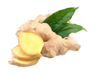 Zenzero <i>(Zingiber officinalis)</i>