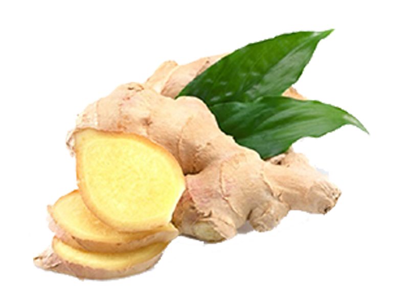 Zenzero <i>(Zingiber officinalis)</i>