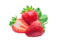 Fragola 4 stagioni rifiorente<i> (Fragaria x ananassa)</i>
