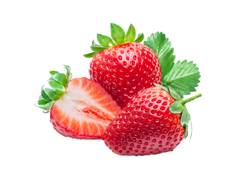 Fragola 4 stagioni rifiorente<i> (Fragaria x ananassa)</i>