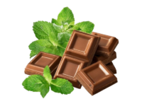 Menta cioccolato <i> (Mentha "chocolate")</i>