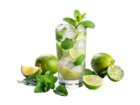Menta Mojito <i> (Mentha hierba buena)</i>