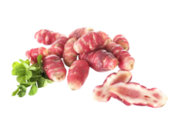 Oca del Perù <i> (Oxalis tuberosa)</i>