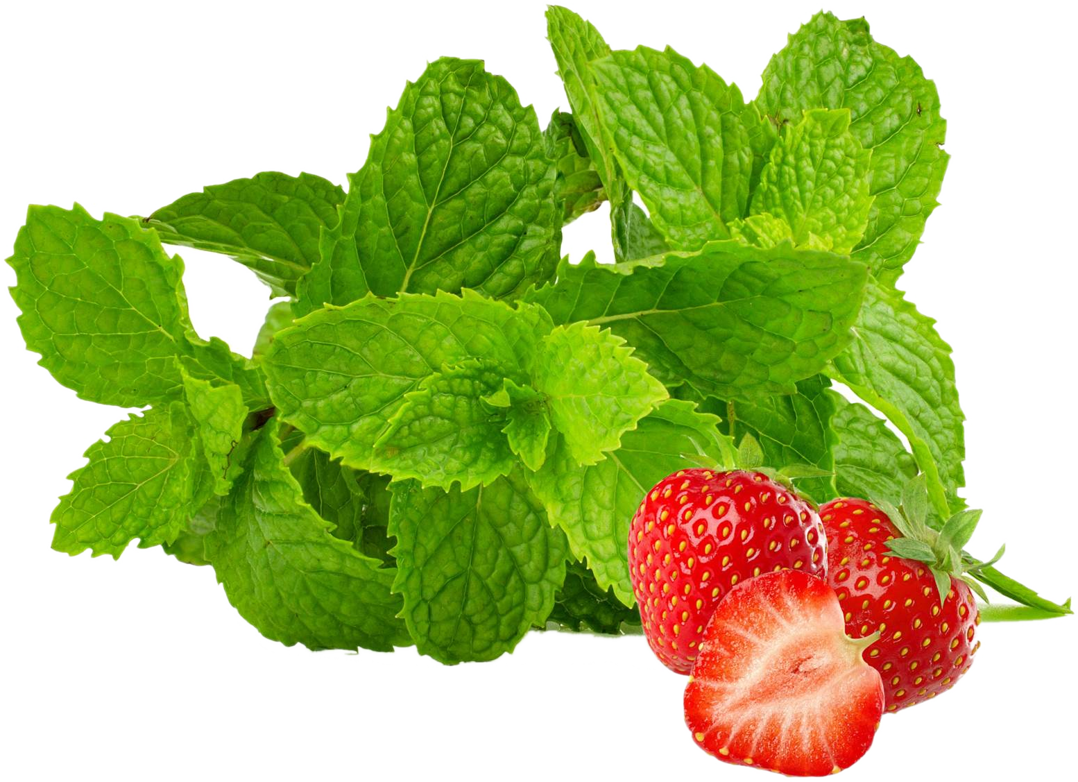 Menta fragola<i> (Mentha suaveolens f.)</i>